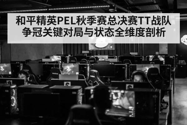 和平精英PEL秋季赛总决赛TT战队争冠关键对局与状态全维度剖析